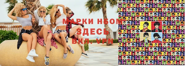 индика Балахна