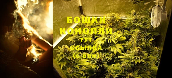 индика Балахна