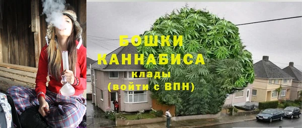 ешки Аркадак