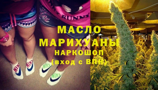 индика Балахна