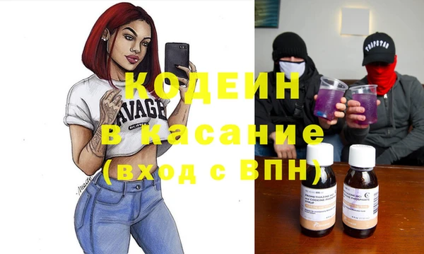 индика Балахна